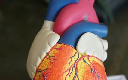 "Bases Of Psychic Power" Series: 32 Parts Of The Body (4/7)