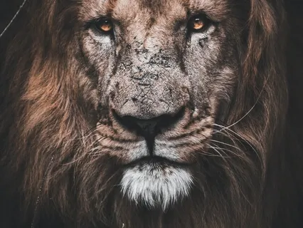 "Bases Of Psychic Power" Series: Final Analysis (7/7)