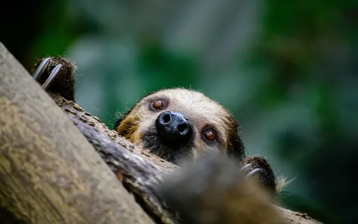 "Bases Of Psychic Power" Study & Practice: Hindrances (2/7)