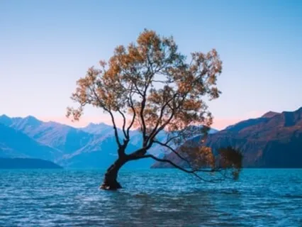 Basic Awareness Practice - Intention Behind Actions 