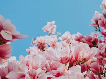 Basic Breath Meditation