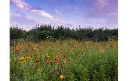 Basic Breathwork For Relaxation