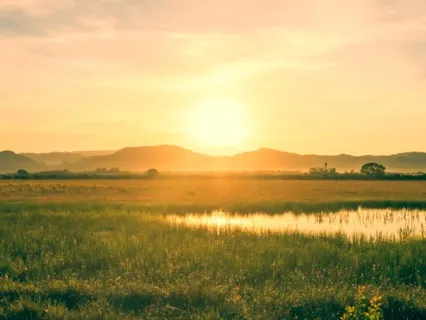 Basic Daily Practice | Simple Meditation | Somatic Awareness