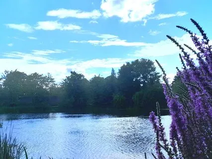 Basic Mindful Meditation