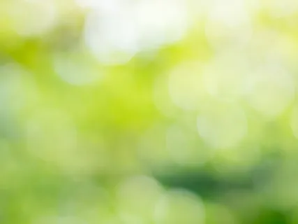 Basic Mindfulness Meditation