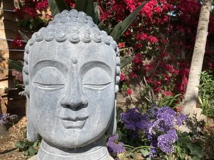 Basic Mindfulness Meditation