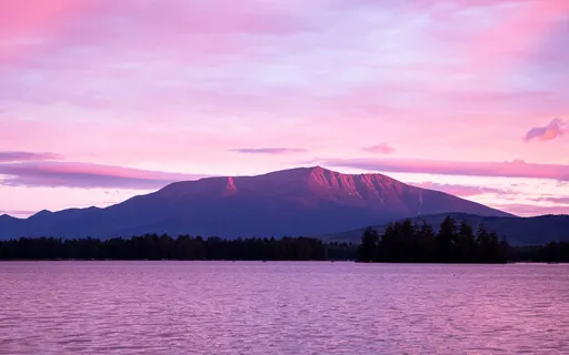 Basic Somatic Meditation (To Get You Out Of Your Head!)