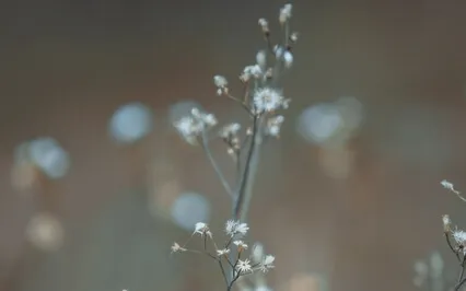 Basic Yogic Breathwork (Diaphragmatic Breathing)