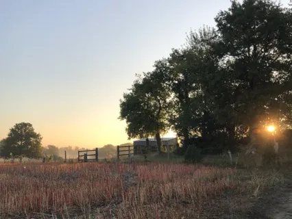 Basics For Any Healing Journey - A Soothing Talk 