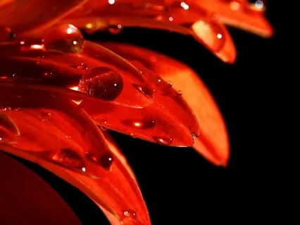 Basics: Mindful Listening