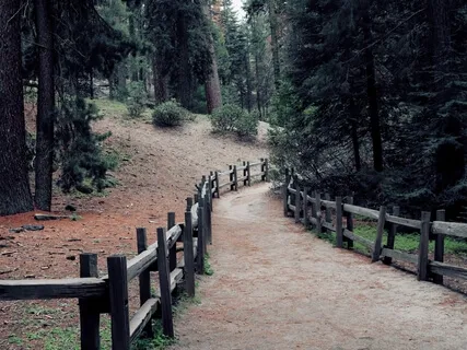 Basics: Mindful Noting