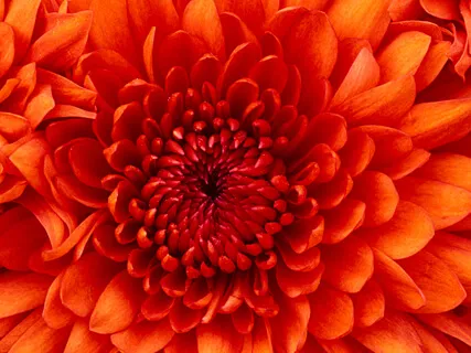 Basics Of Mystical Meditation