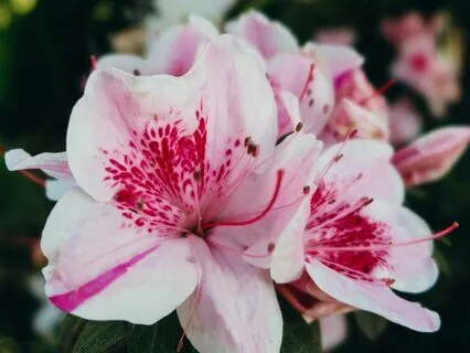 Bask In Nature And Nurture You