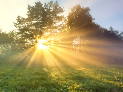 Basking In The Godglow