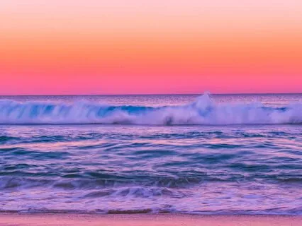 Basking In The Love Of The Morning Light