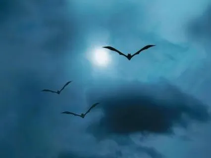 Bat Energy For Sleep – Deep Night Calm & Protection