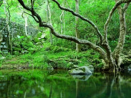 Bathe In Healing Waters With Sulis, The Goddess Of Wellness