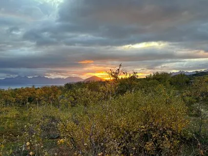 Bathe The Globe In Divine Love