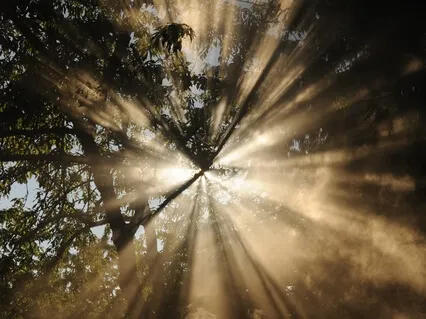 Bathed In The Light: A Healing & Transformative Meditation