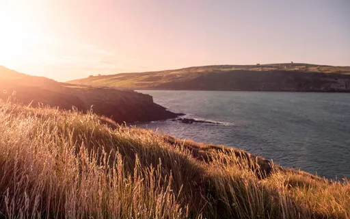 Bathing In Golden Light