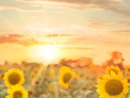 Bathing In Gratitude