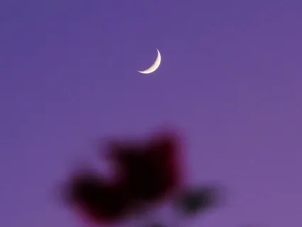 Bathing In Moonlight: Guided Journey To Relaxation