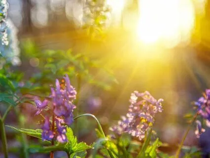 Bathing In Self-Love And Trust