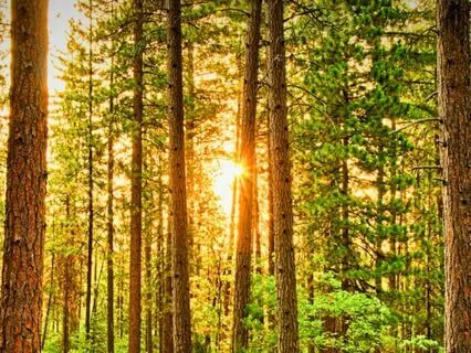 Be A Channel In Everyday Life