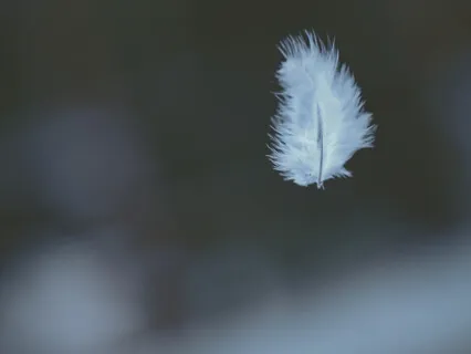 Be A Feather