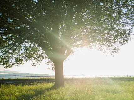 Be A Giver LIke Mother Earth