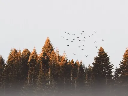 Be A Giver, Not a Taker 