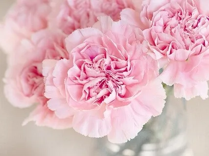 Be A Magnet For True Love