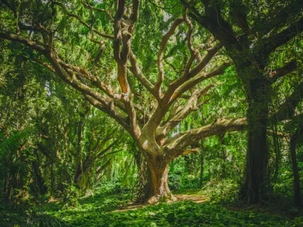 Be As Nature Intended