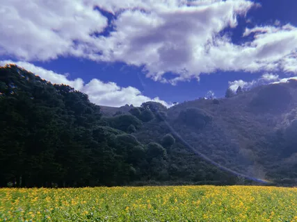 Be Aware & Clear Your Mind