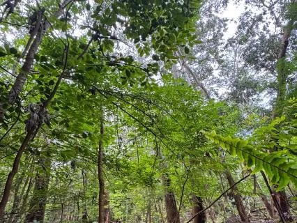 Be Aware If Planetary I And Cosmic Influences