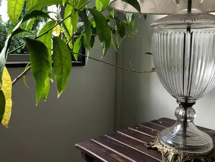 Be Aware Of Which Frequency You Are Aligning With