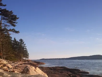 Be Brave Affirmations - Binge Eating Recovery