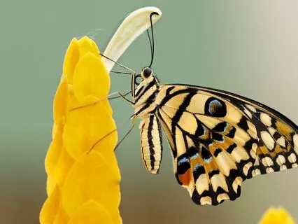 Be Brave, Be Grateful - This Too Shall Pass