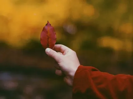 Be The Chief: Be Calm And Kind To Yourself