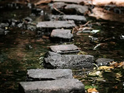 Be Calm, Connect, And Flow