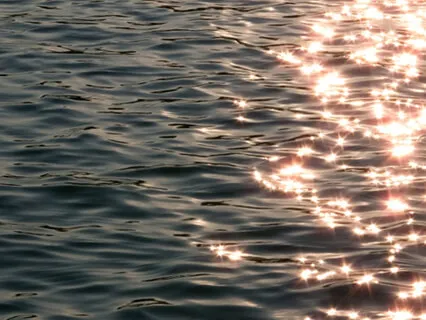 Be Calm for a Little Longer