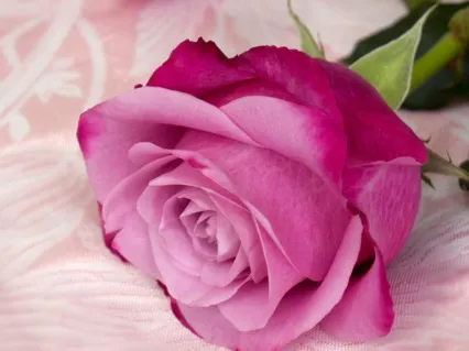 Be Compassionate Towards Yourself