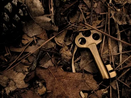 Be Curious About Everything That Happens To You