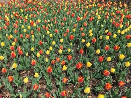 Be Free Of Unhappiness