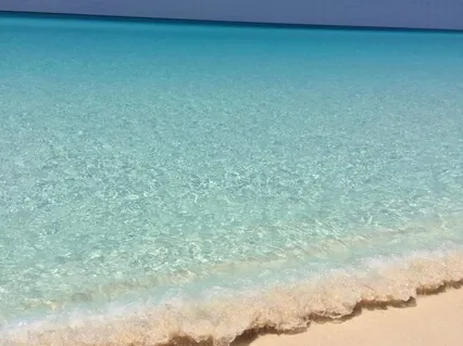 Be Free To Be Grateful