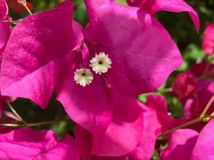 Be Free To Create Memories