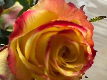 Be Free To Develop Patience