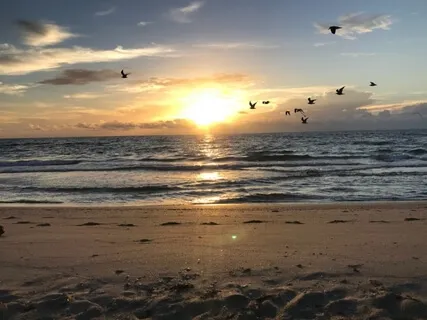 Be Free To Fly (Like A Duckling)