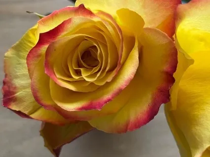 Be Free To Set Boundaries