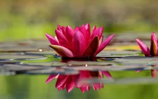 Be Gentle On Yourself With Piano Music